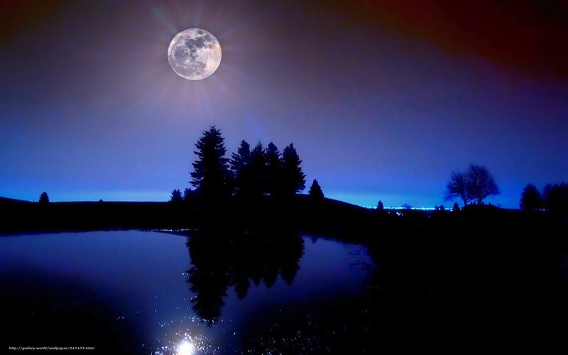 Full Moon over Lake — Blue, Serene, Night, Photograph, Trees, Reflection