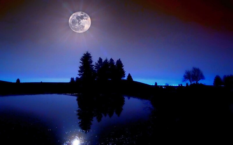 Full Moon over Lake — Blue, Serene, Night, Photograph, Trees