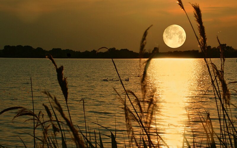 Full Moon over Lake — Gold