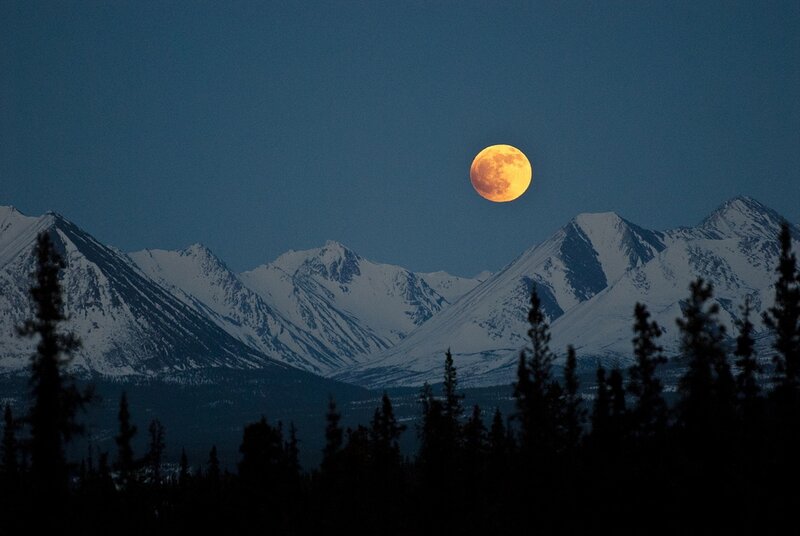 Full Moon over Mountains — Blue, Serene, Night, Photograph, Trees, Sky
