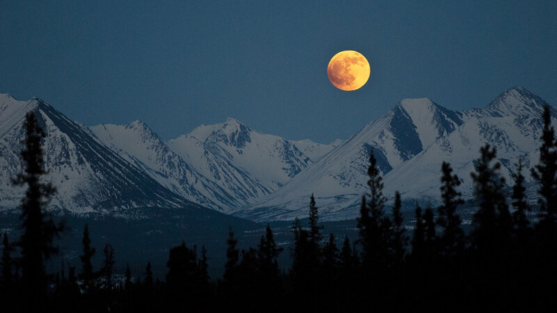 Full Moon over Mountains — Blue, Serene, Night, Photograph, Trees