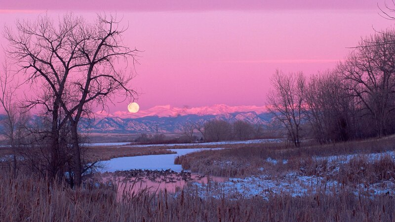 Full Moon over Mountains — Pink, Serene
