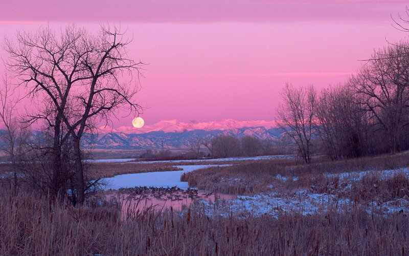Full Moon over Mountains — Pink