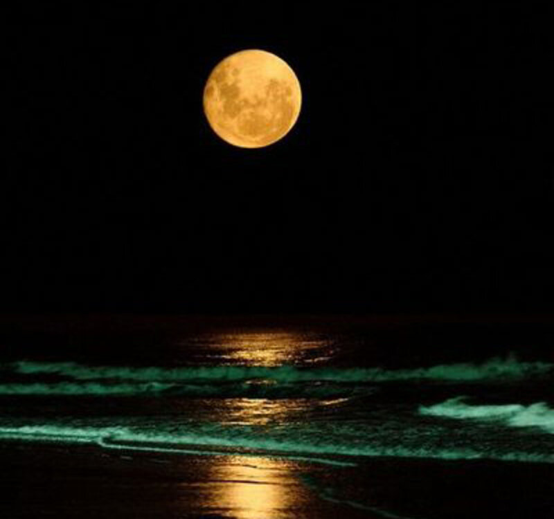 Full Moon over Ocean — Black, Serene, Night, Photograph