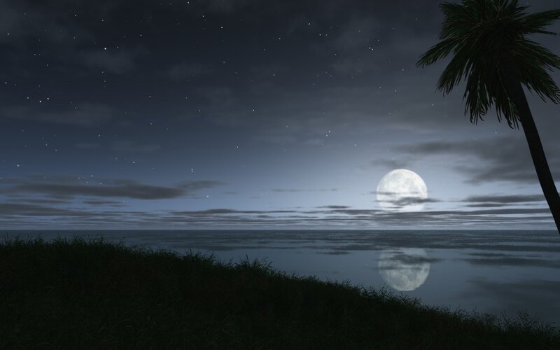 Full Moon over Ocean — Blue, Serene, Night, 3d Render, Palm Tree