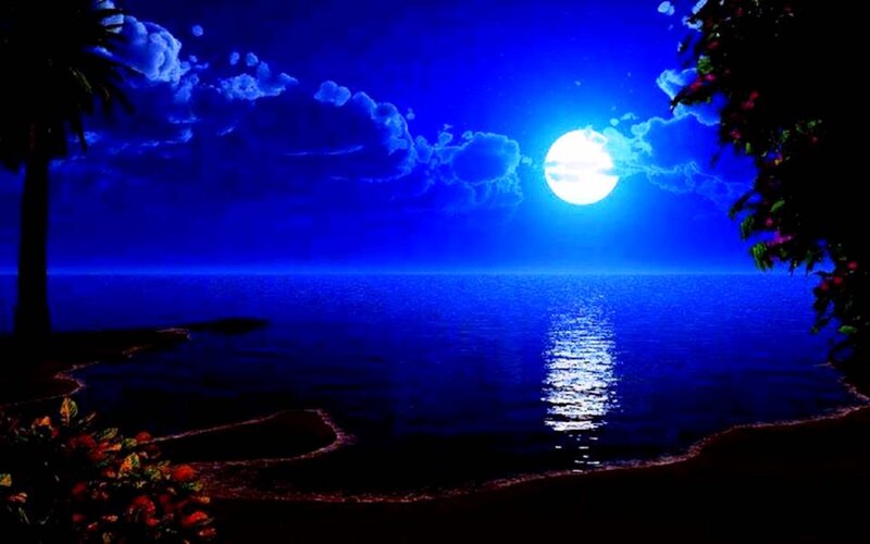 Full Moon over Ocean — Blue, Serene, Night, Digital Art, Clouds, Palm Tree