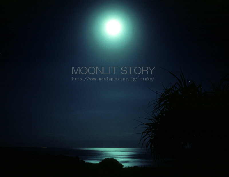 Full Moon over Ocean — Blue, Serene, Night, Photograph, Plants