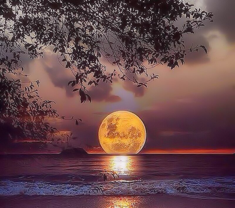 Full Moon over Ocean — Purple, Dramatic, Night