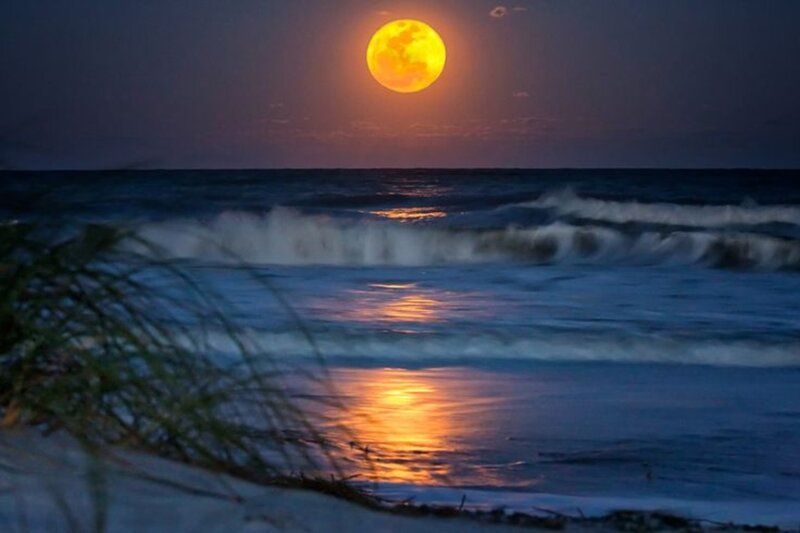 Full Moon over Ocean — Yellow, Serene, Night