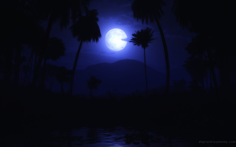 Full Moon over Palm Trees — Blue, Serene