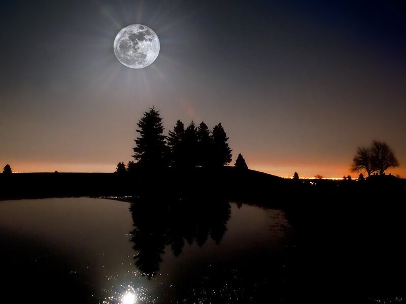 Full Moon over Pond — Black