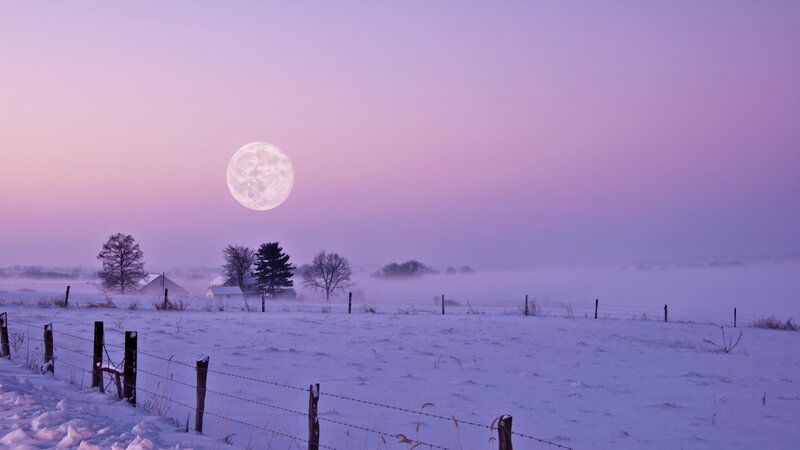 Full Moon over Snowy Field — Purple