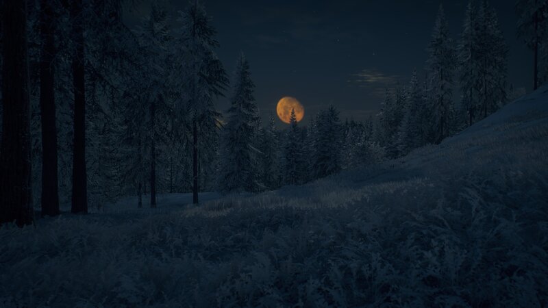 Full Moon over Snowy Forest — Blue, Serene