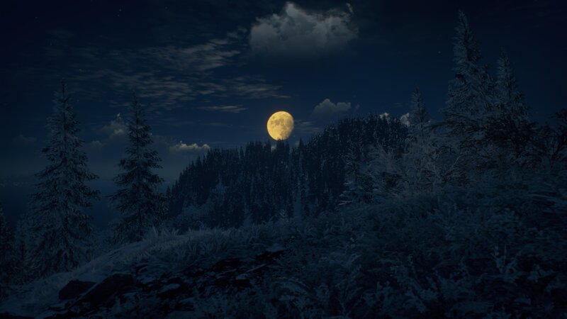 Full Moon over Snowy Forest — Blue