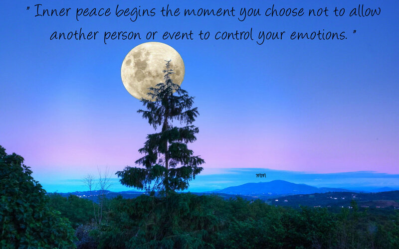 Full Moon over Tree — Blue, Serene