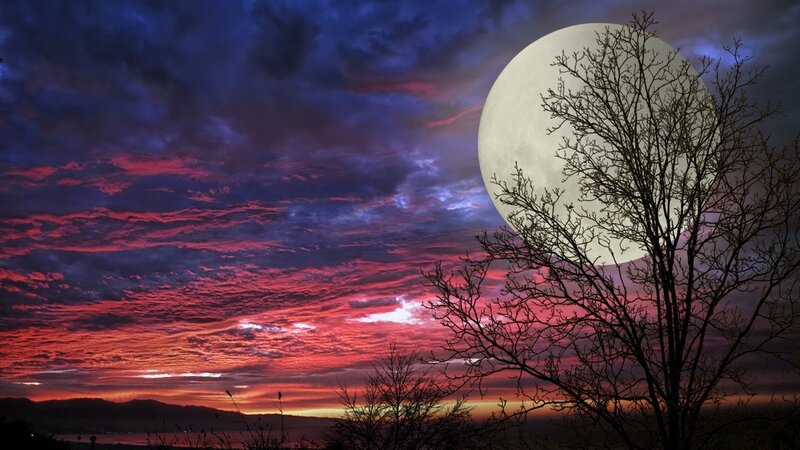 Full Moon over Tree — Purple