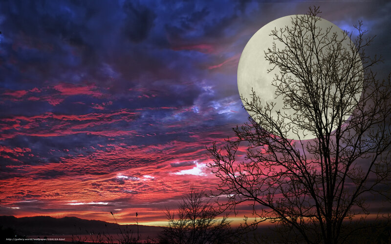Full Moon over Tree — Red, Dramatic, Night