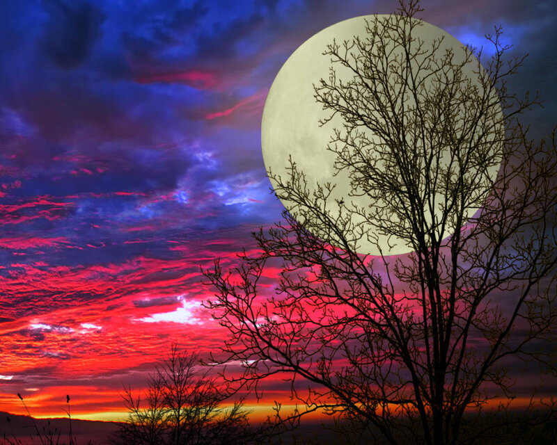Full Moon over Tree — Red, Dramatic