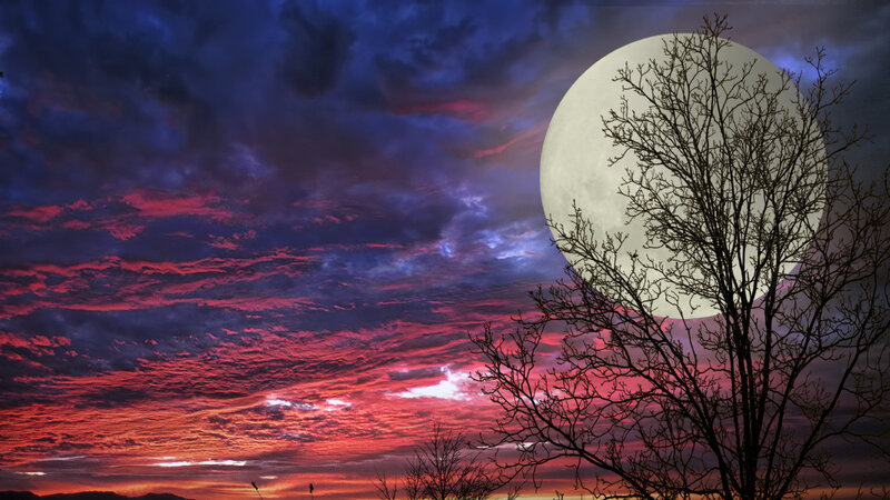 Full Moon over Tree — Red