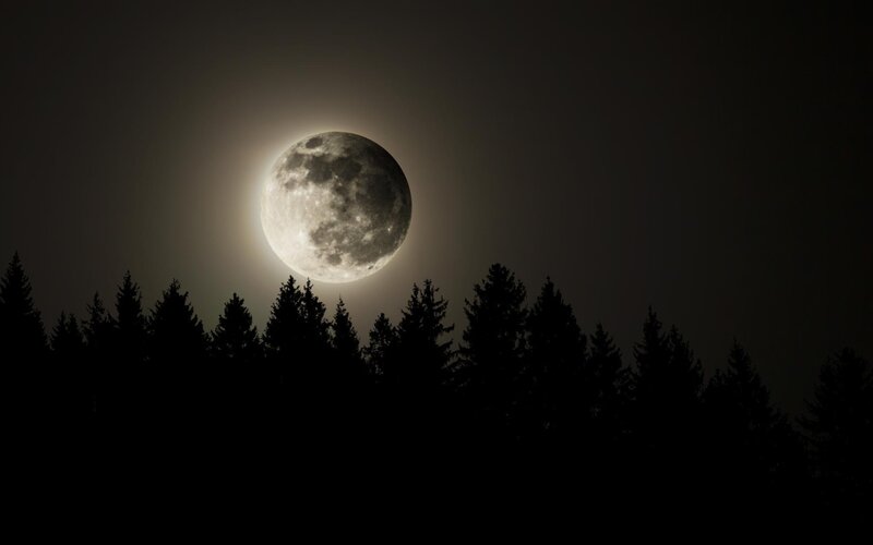 Full Moon over Trees — Black, Serene, Night, Photograph