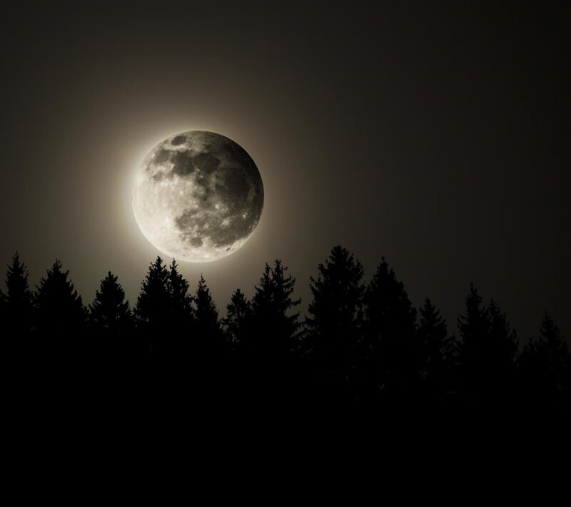Full Moon over Trees — Black, Serene, Night