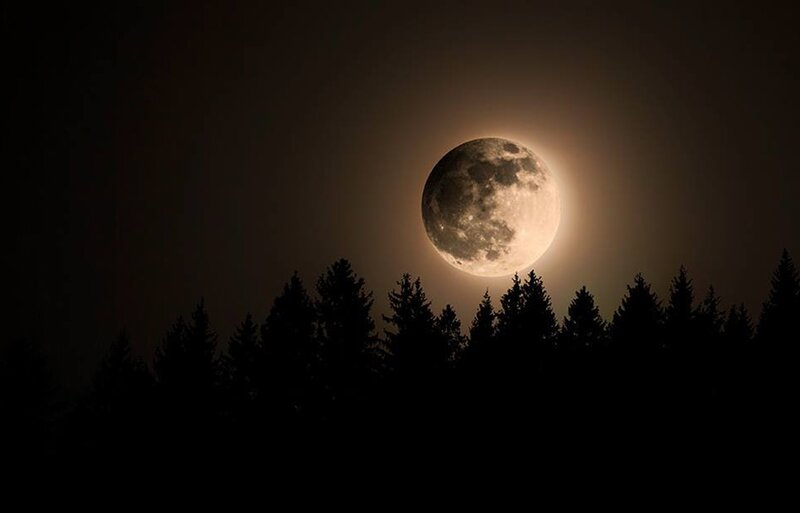Full Moon over Trees — Black, Serene