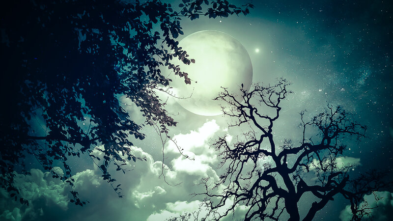 Full Moon over Trees — Blue, Dramatic