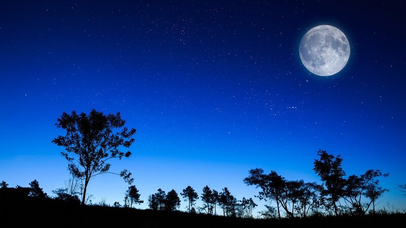 Full Moon over Trees — Blue, Serene, Night