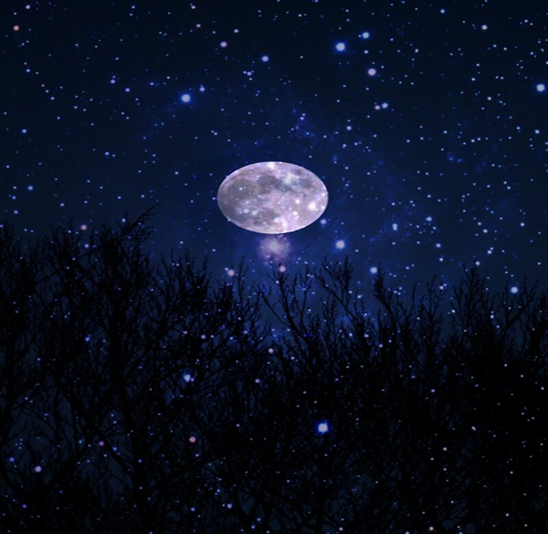 Full Moon over Trees — Blue