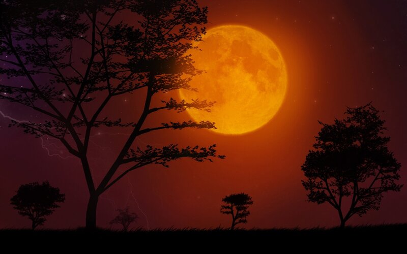Full Moon over Trees — Orange, Dramatic, Night, Digital Art