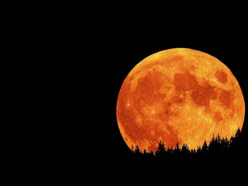 Full Moon over Trees — Orange, Dramatic, Night, Photograph