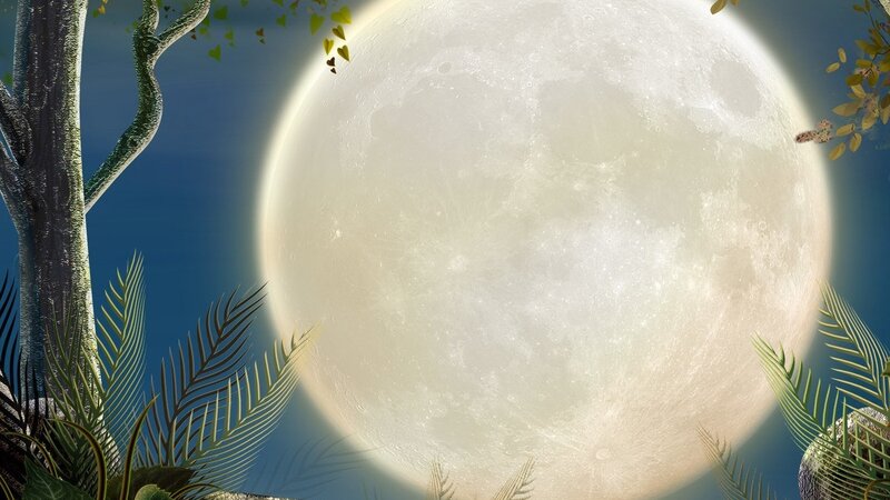 Full moon over tropical forest
