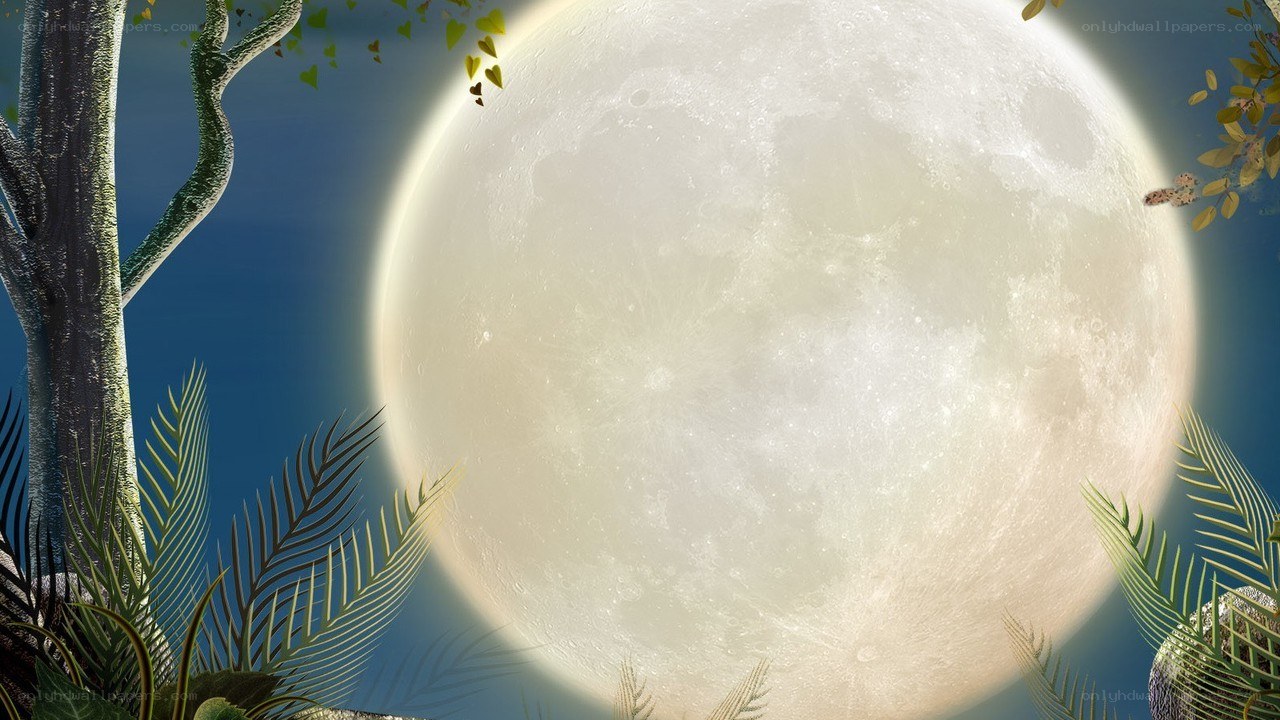 Full moon over tropical forest