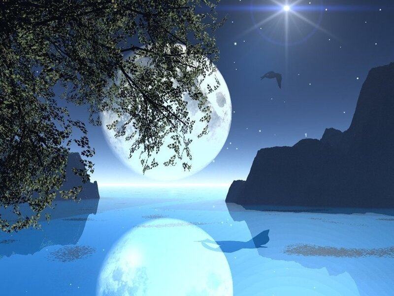 Full Moon over Water — Blue, Serene, Night, Digital Art, Tree Branches