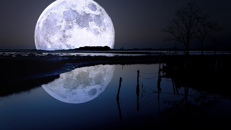 Full Moon over Water — Blue, Serene, Night, Digital Art, Tree