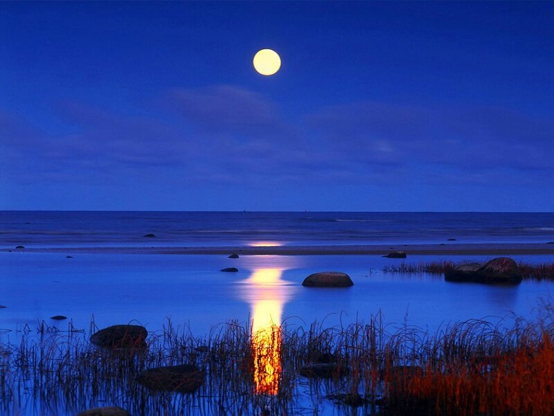 Full Moon over Water — Blue, Serene, Night, Photograph, Rocks