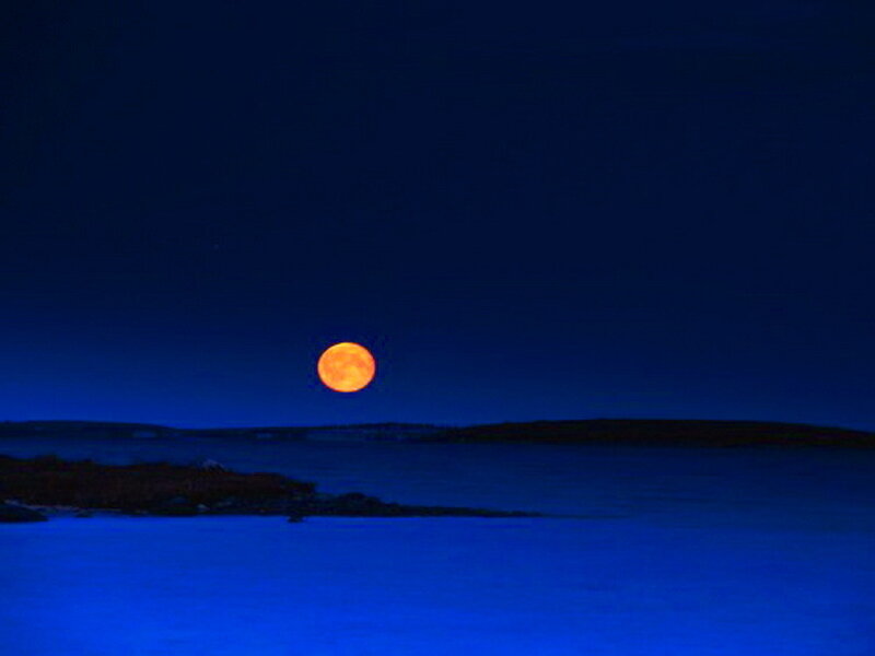 Full Moon over Water — Blue, Serene, Night, Photograph