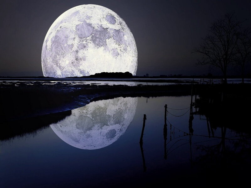 Full Moon over Water — Blue, Serene, Night, Photograph, Tree, Reflection, Marsh