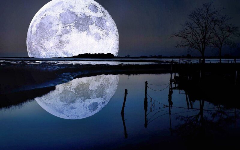 Full Moon over Water — Blue, Serene, Night, Photograph, Tree, Reflection