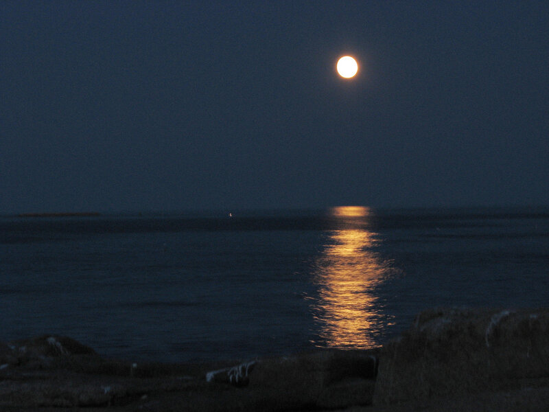 Full Moon over Water — Blue, Serene, Night