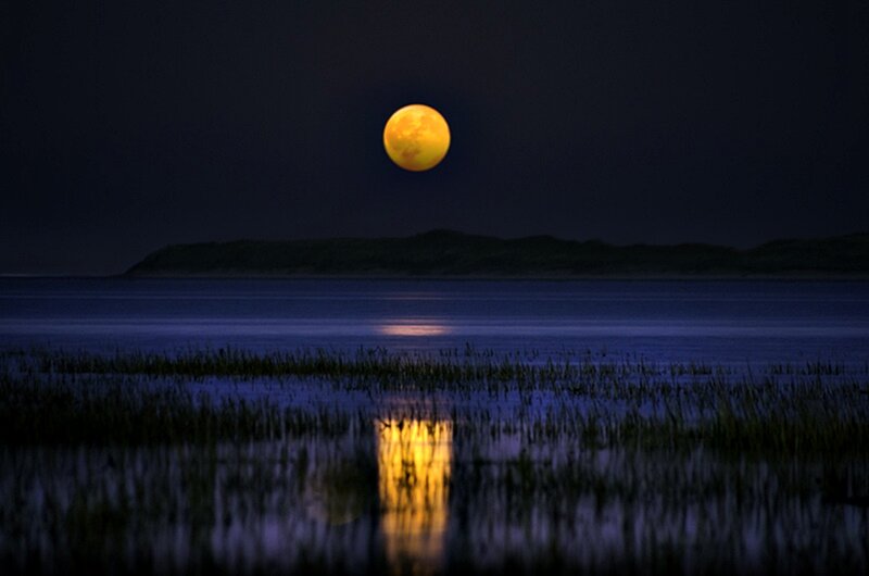 Full Moon over Water — Yellow, Serene, Night, Photograph