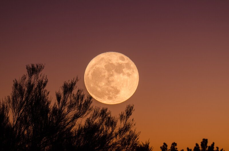 Full Moon Rising — Orange