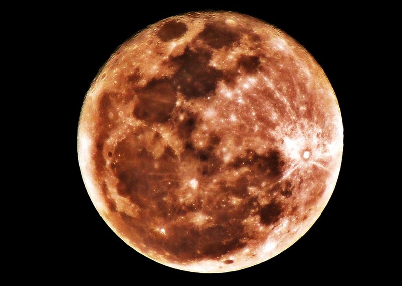 Full Moon Surface — Brown