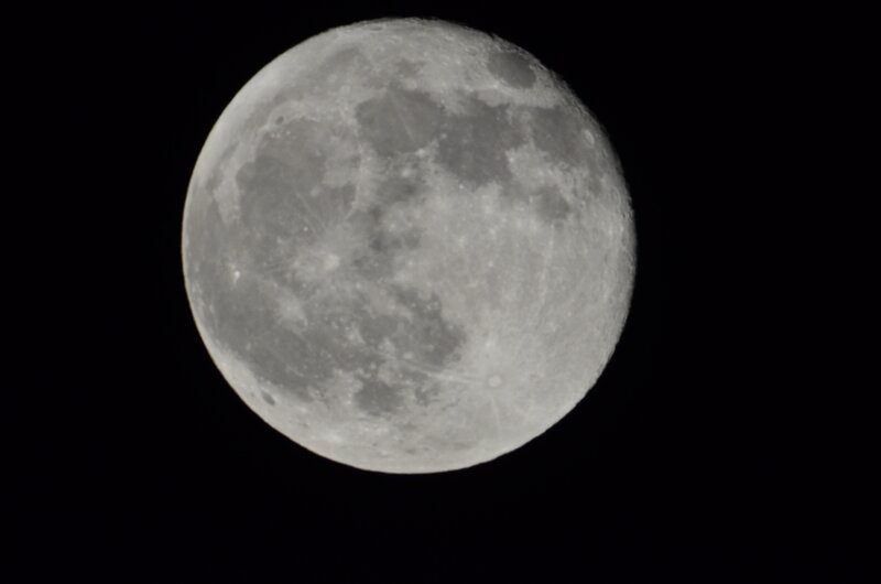 Full Moon Surface — Gray, Serene, Night