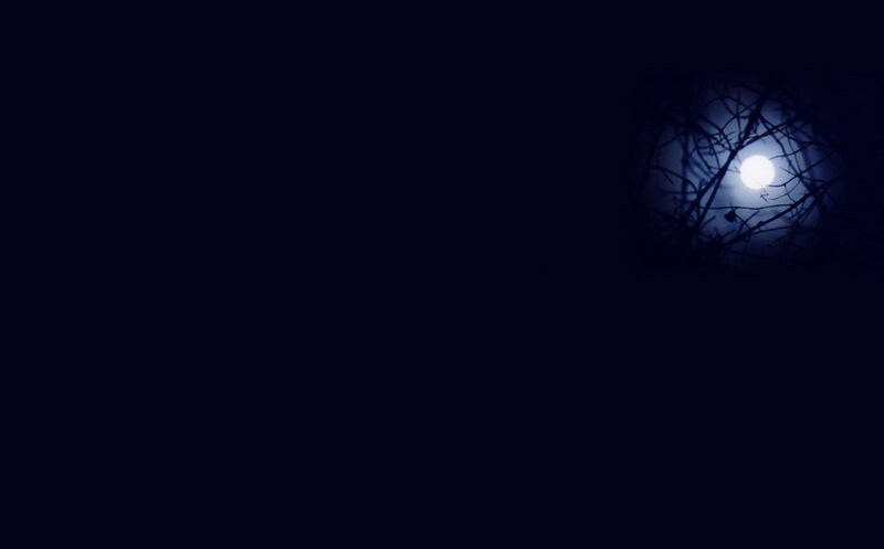Full Moon Through Branches — Black, Dark