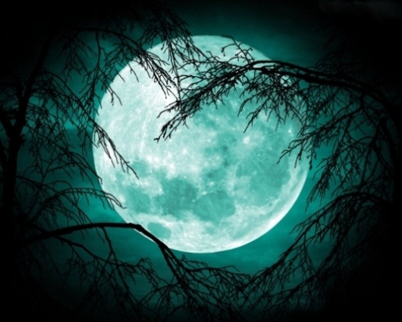 Full Moon Through Branches — Teal