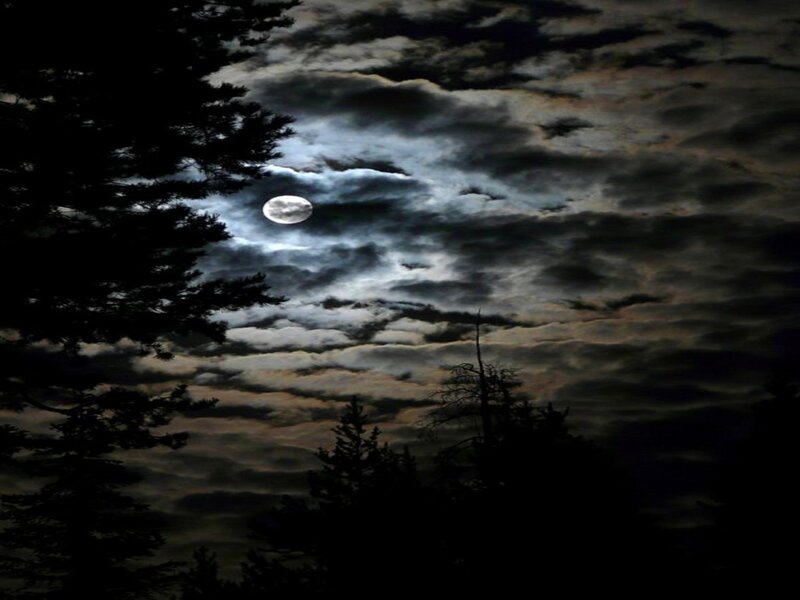Full Moon Through Clouds — Black, Dramatic, Night, Photograph, Trees