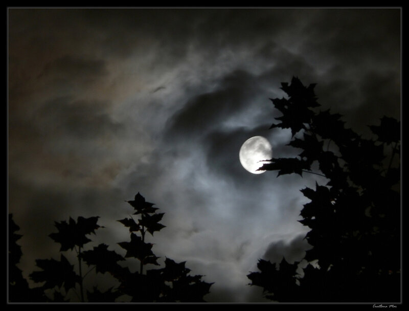 Full Moon Through Clouds — Black