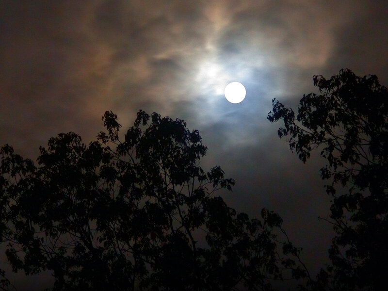 Full Moon Through Clouds — Gray, Dramatic, Night