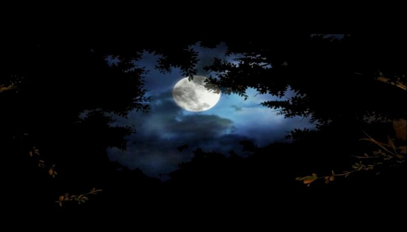 Full Moon Through Trees — Black, Serene